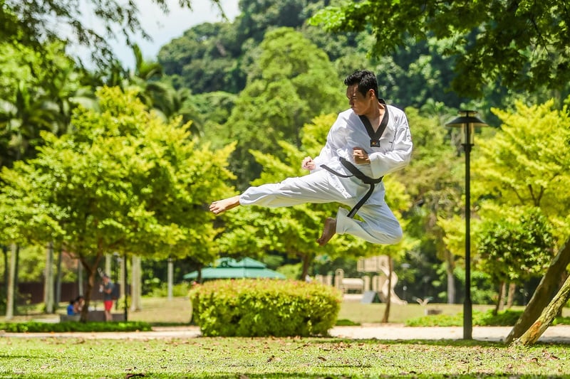 Kung Fu Meditation